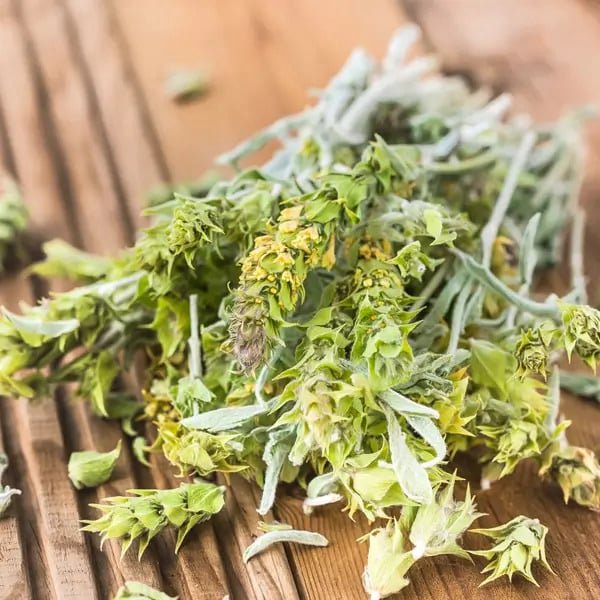 The Nature's Armour Remedies